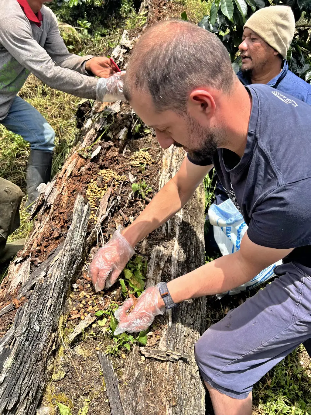 Indonesia Sumatra Speciality Honey - Obrázek 5