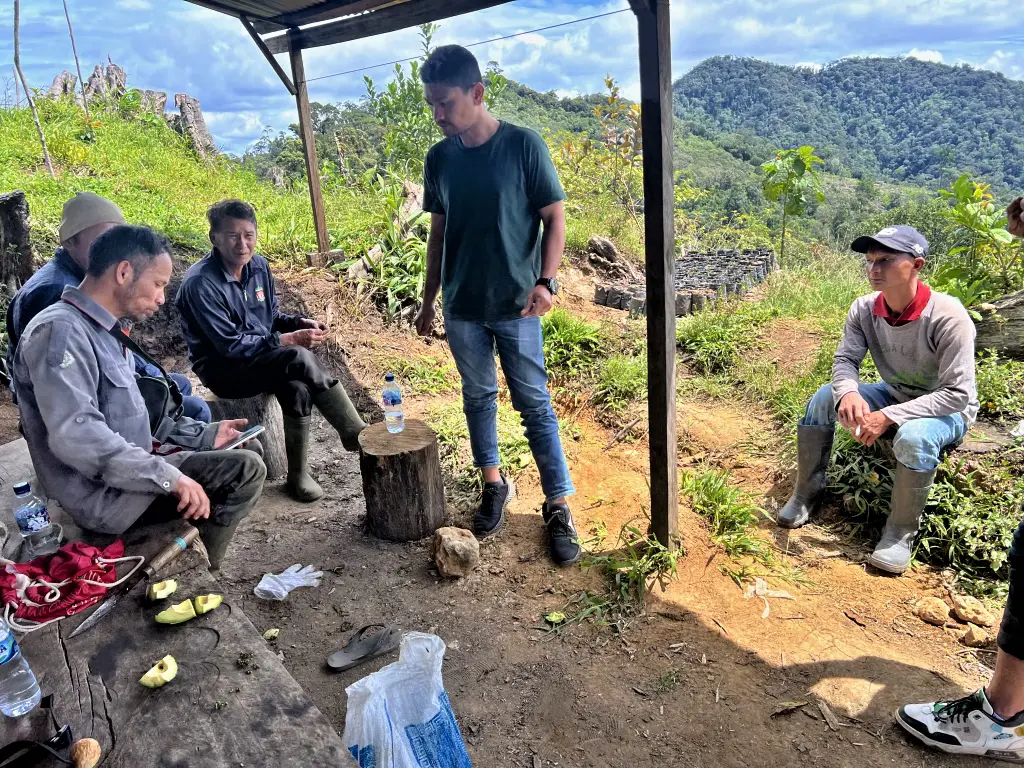 Indonesia Sumatra Speciality Honey - Obrázek 4