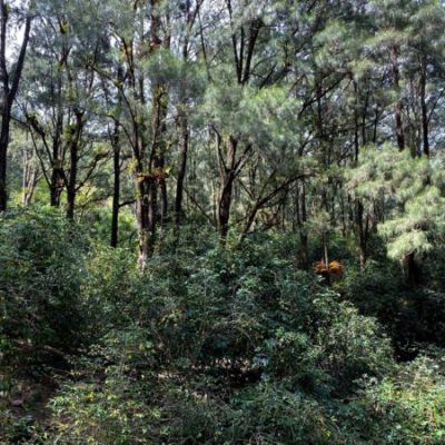 Hlavní obrázek produktu