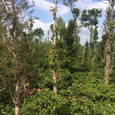 Hlavní obrázek produktu