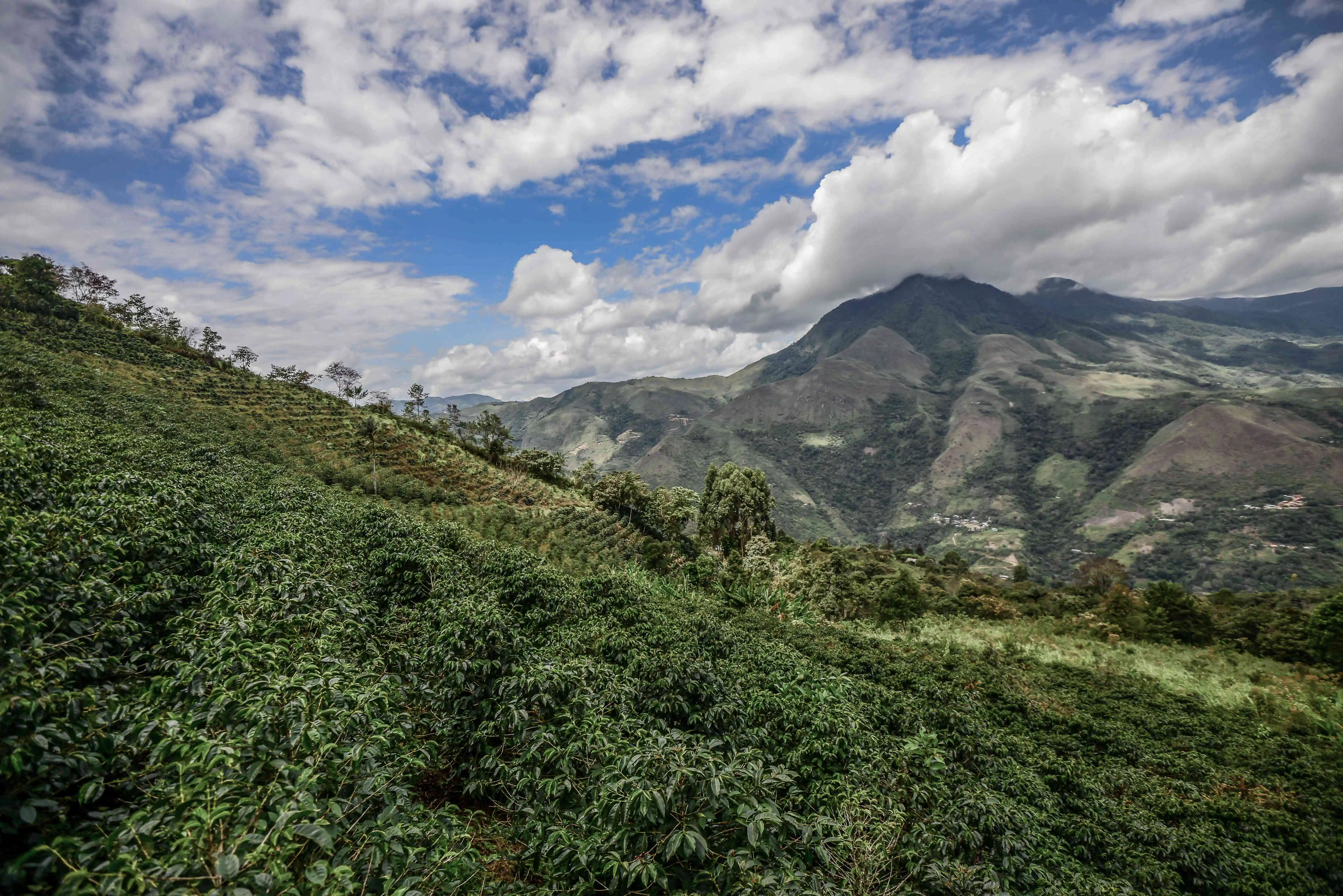 Peru Cajamarca - Obrázek 2