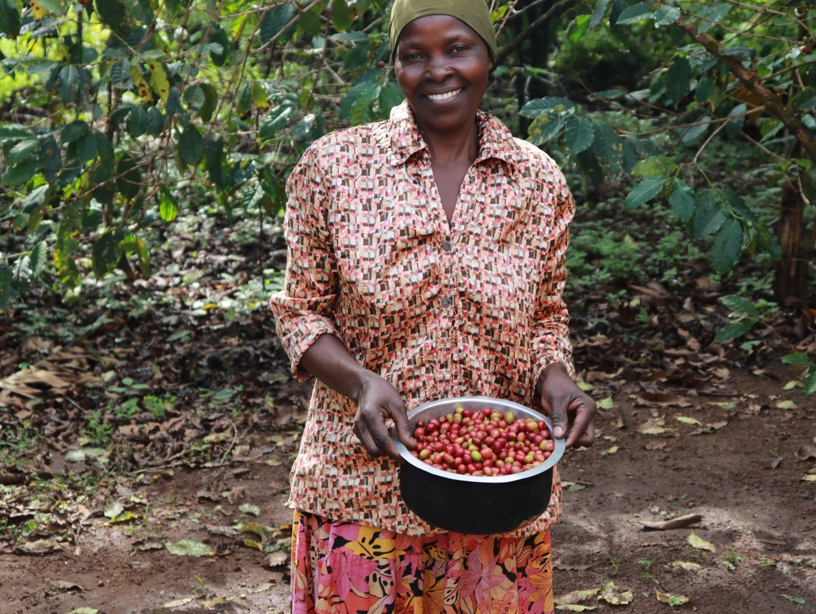 Uganda Bugisu AA - Obrázek 3