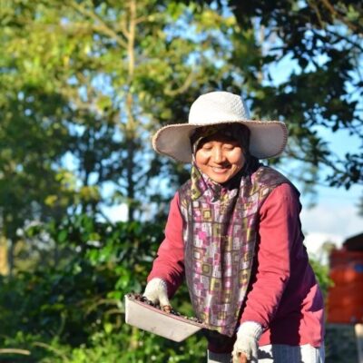 Hlavní obrázek produktu