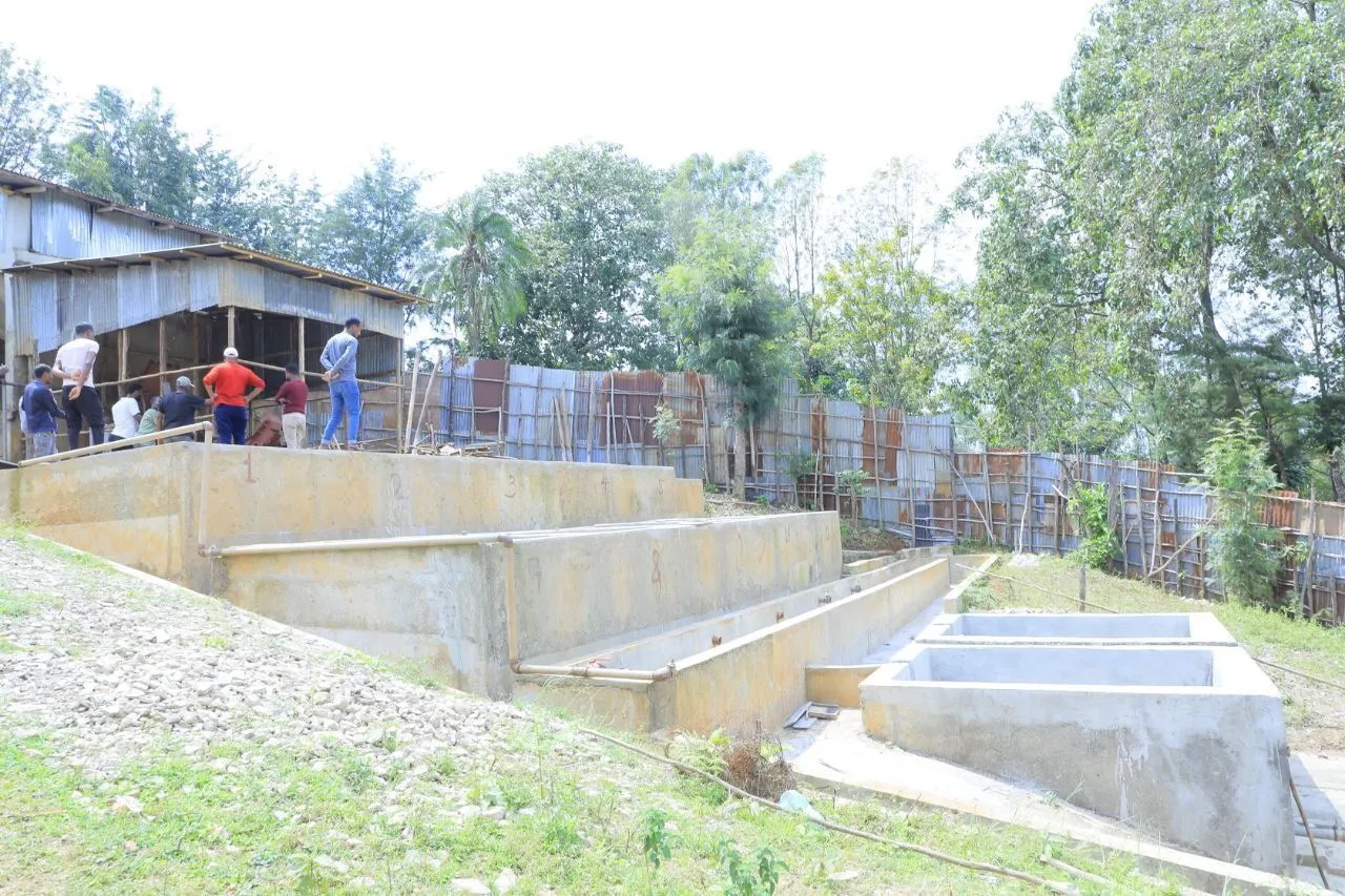 Ethiopia Sidamo – Lalibela - Obrázek 4